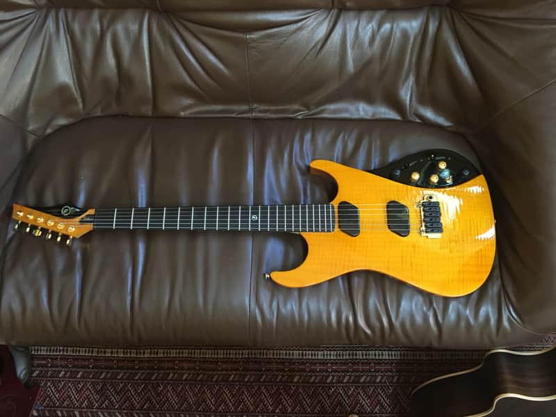 Moog Guitar Paul Vo Collector's Edition --  Honey Body, Mint with HSC ( like a moog E1 but nicer!) image 1