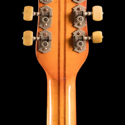 Hofner Club 60 1958 image 4