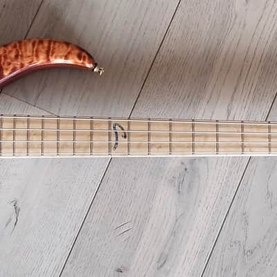 Peavey CIRRUS 4 USA CUSTOM 2005 Tiger image 8