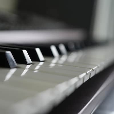 Korg PA1000 61-Key Professional Arranger 2017 - Present - Red image 2
