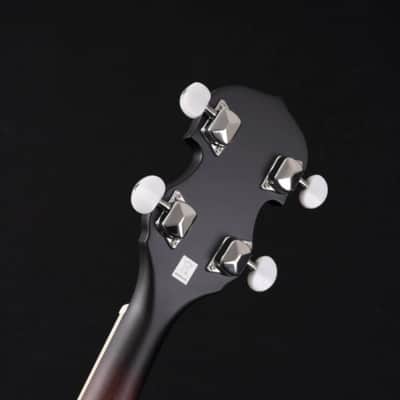 Washburn B7 Banjo image 6