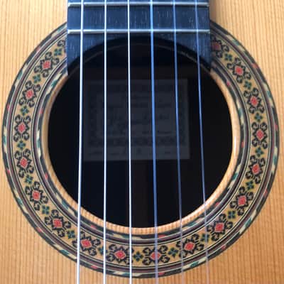 Ricardo Sanchis Carpio  1A Classical Guitar image 1