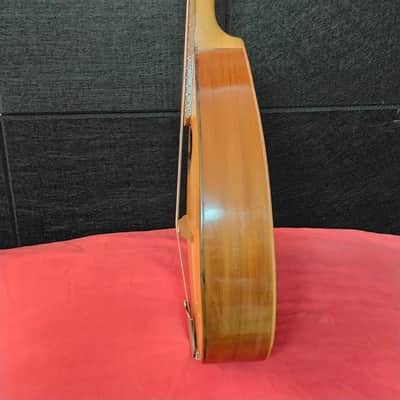 "il sigillo" ( liuteria estudiantina). Piatto 1960 - Natural image 10