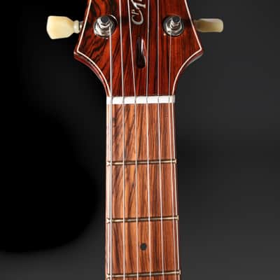 CP Thornton Guitars - Professional Gen II. Ox Blood. Ron Ellis LRP Humbuckers - NEW / 2025. image 15