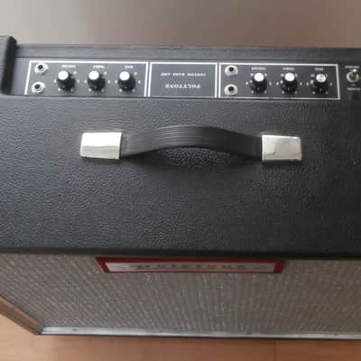 1974 Polytone Model 101 Bass Amp-  Fantastic  Condition !! image 2