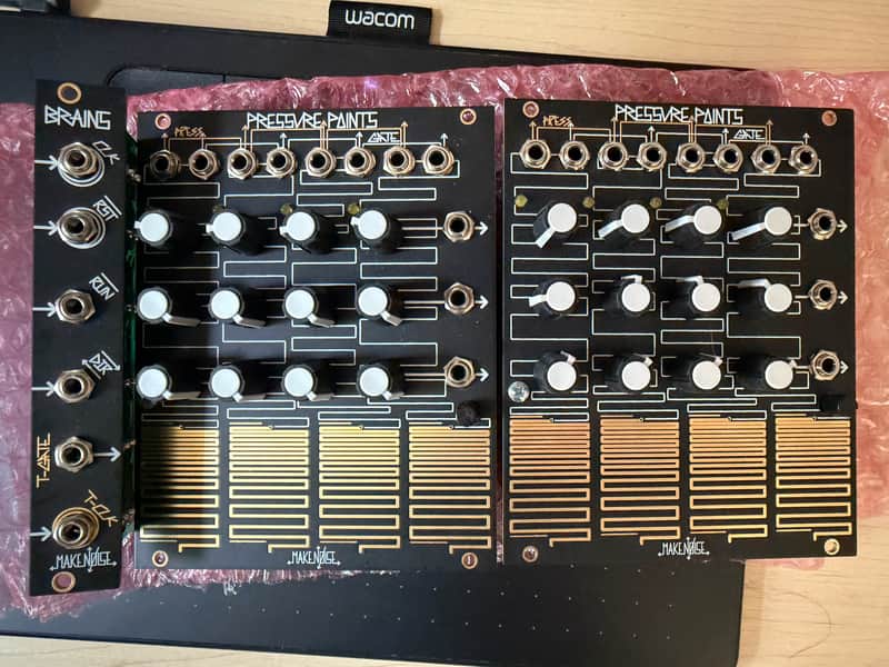 Make Noise Pressure Points Modules x2 with Brains Module image 1
