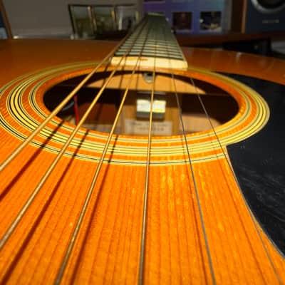 Takamine F-360S 1978 - Natural image 8