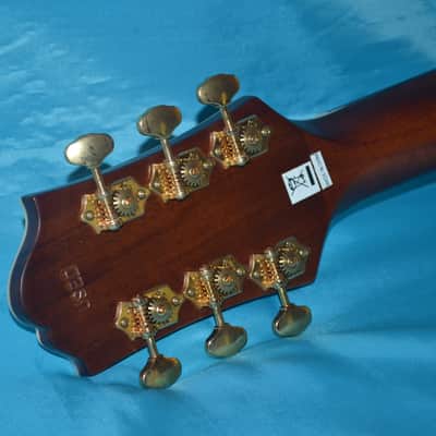 Epiphone EF-500RCCE, eSonic Stereo Outputs, Great for Fingerpicking image 7
