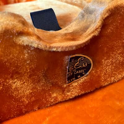 Ess & Ess guitar case image 3