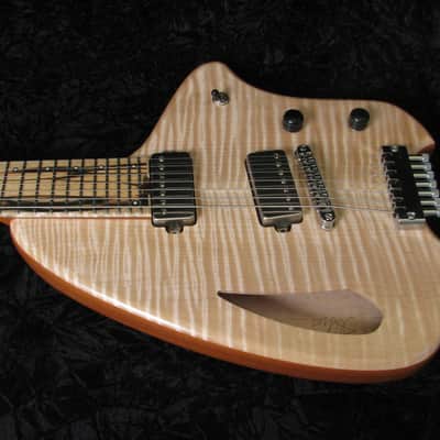Forshage Semi Hollow 7 string Orion image 2
