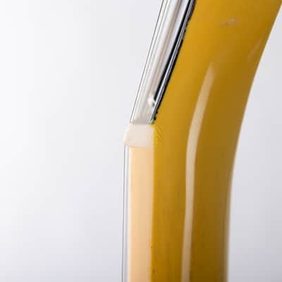 Gibson Les Paul Special, TV Yellow | Demo image 13