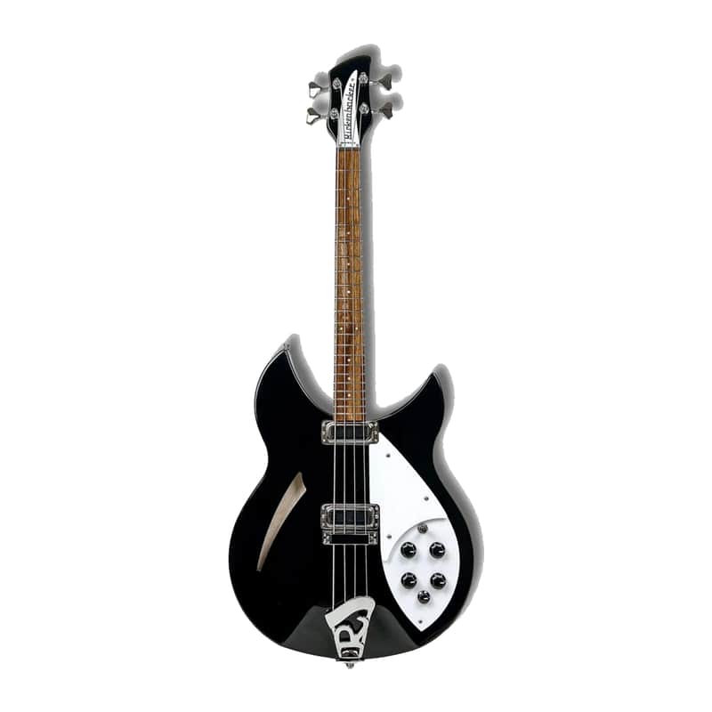 Rickenbacker 3030 image 1