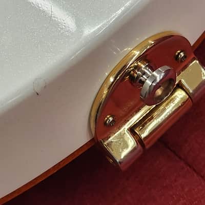 Epiphone Wild Kat - Pearl white gold hardware LTD Custom shop with case image 16