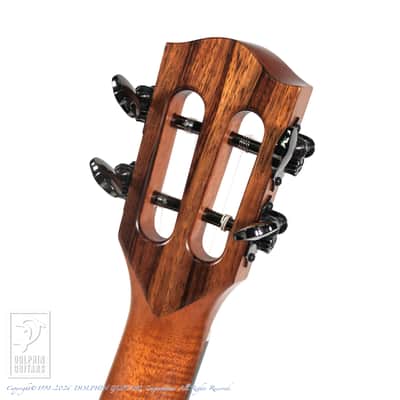 TODA GUITARS <MIJ>VB ALL Wild Mango 2026 image 8
