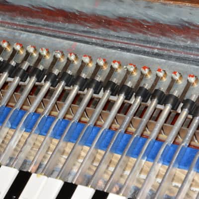 Hohner Pianet N, 1960s, Playing Well image 12