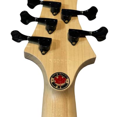 F Bass BN5 DELUXE 2020 - MATTE VARNISH - ANTIQUE BROWN BURST / BLACK GRAIN ENHANCE image 15