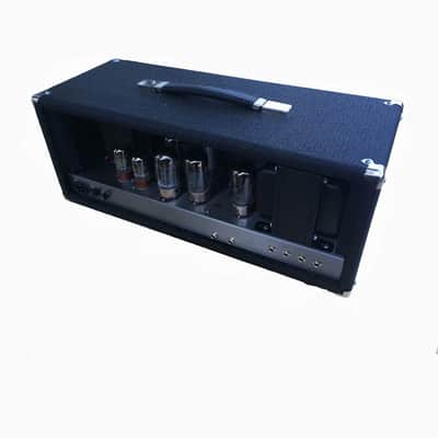 Winter Amps Coliseum P.A. PA Sunn Clone PCB version Pre Order image 2