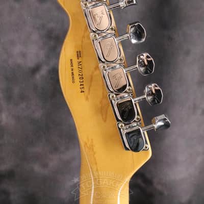 Fender Mexico 1969 Telecaster Thinline image 15