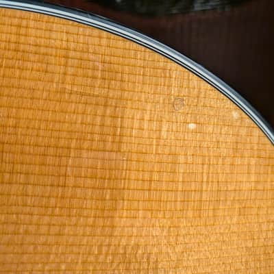 Taylor 710 Dreadnought Acoustic/Electric Guitar w/Case (1996) image 7