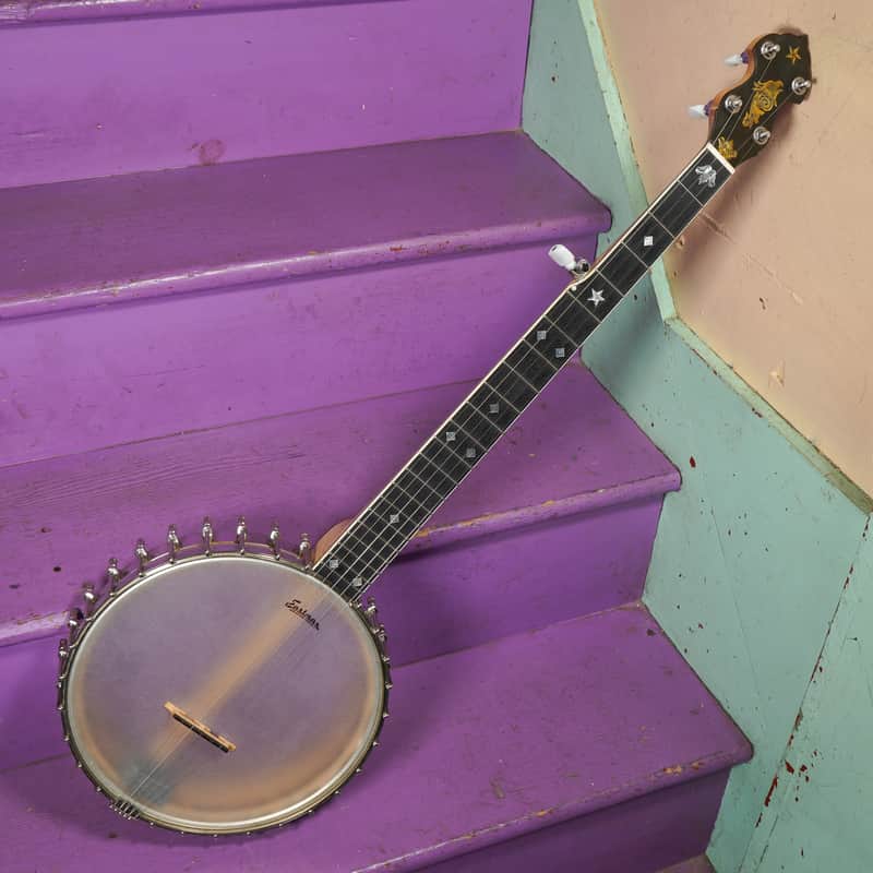 2010s Eastman Whyte Laydie-Style 5-String Openback Banjo (VIDEO! Fresh Work, Ready) image 1