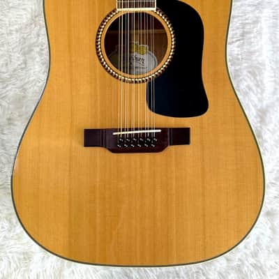 Washburn D10S12 12-String Acoustic Guitar w/ Fender Hardshell Case – Very Nice image 2