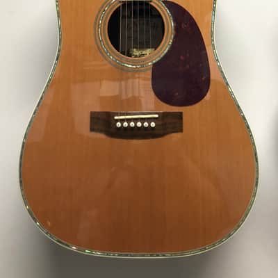 Zager ZAD 80 EZ-PLAY Acoustic Guitar image 2