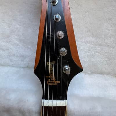 Gibson Firebird V Guitar Of The Week #12 Zebrawood Wings image 7