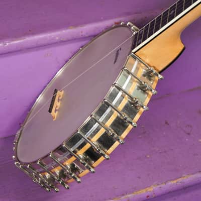 2010s Eastman Whyte Laydie-Style 5-String Openback Banjo (VIDEO! Fresh Work, Ready) image 16