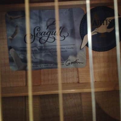 Seagull Artist Cameo CW iBeam Duet 2003 Antique Gloss image 3