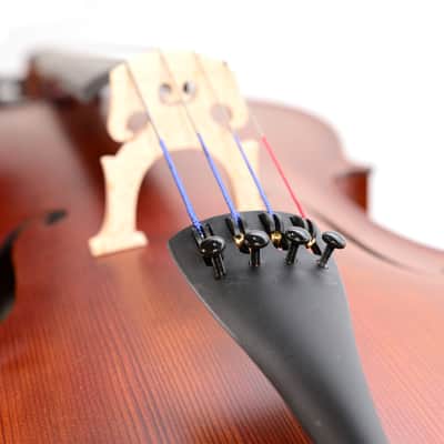 Scherl & Roth SR55 Galliard Student Cello - 4/4 image 10