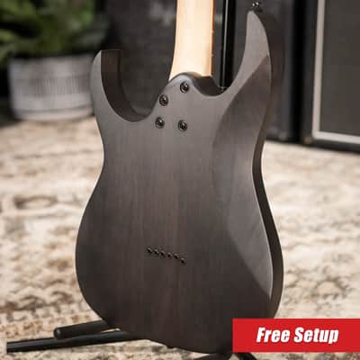 Ibanez RGR431PB Electric Guitar - Charcoal Gray Flat image 2