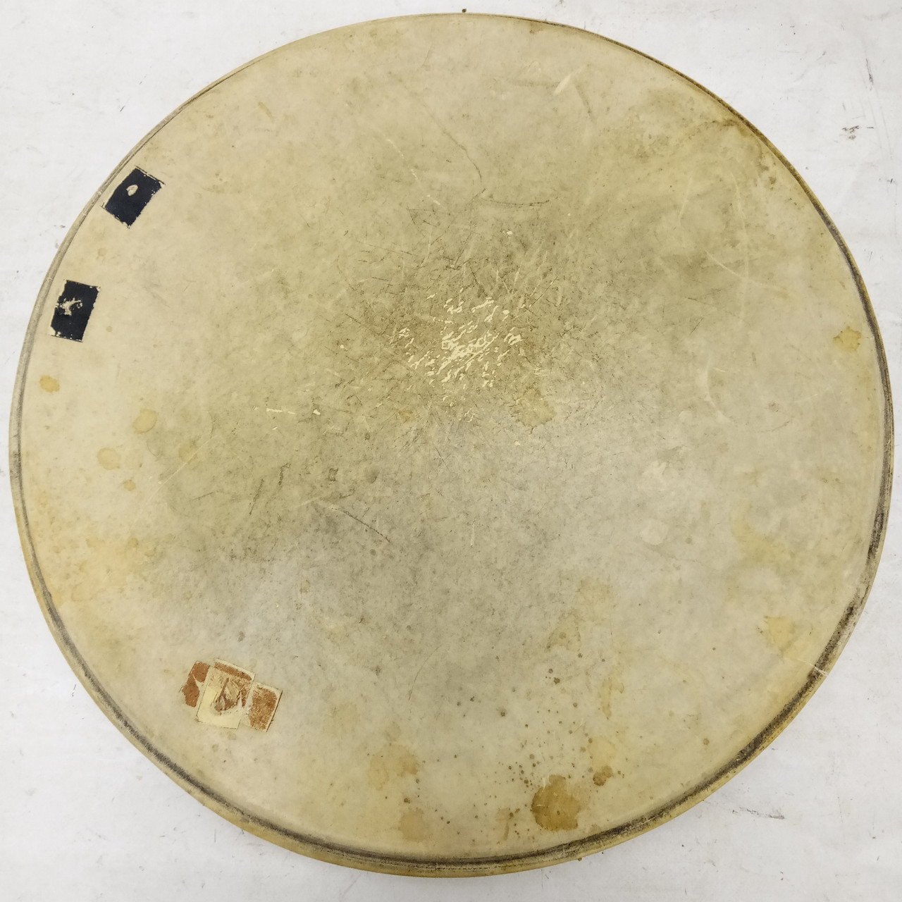 Slingerland Floor Tom 16"Calf Skin Radio King 40s Drum Batter Head Vintage USA — main photograph