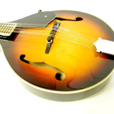 Austin A Style Mandolin image 3