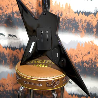 ESP LTD SD-2 Sammy Duet Signature + ESP Hard Case image 7