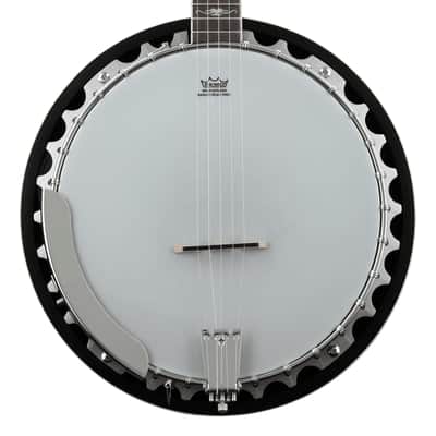 Washburn Americana B10 5-string Resonator Banjo image 2
