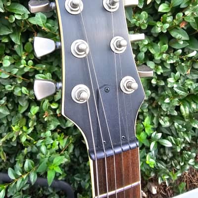 Yamaha Revstar Professional (Japan) RSP20 CR image 23