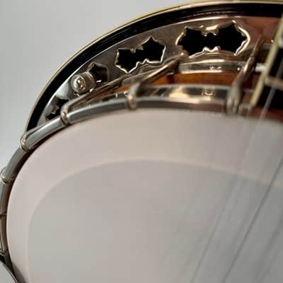 1983 Stelling Sunflower Archtop 5-String Banjo, Raised Head, San Diego image 9