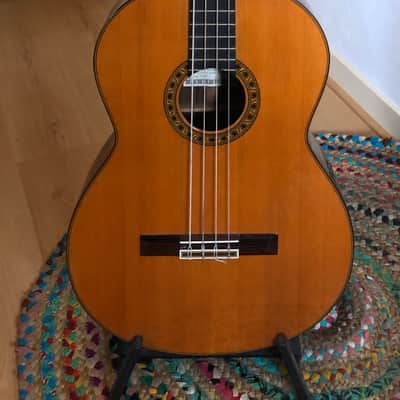 MIJ Bacchus WOODLINE417 AC/E BEB-TOP CN-MAT - Blue Guitars Shop