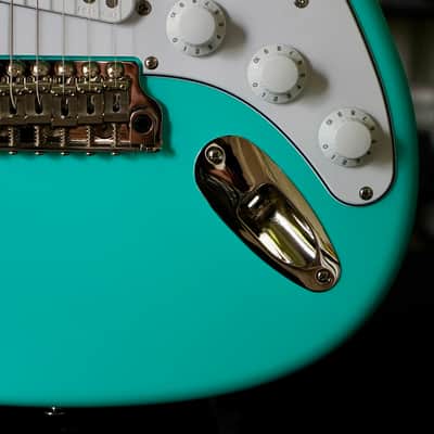 BRAND NEW PRS Limited Edition Silver Sky Wild Blue 2026 image 4