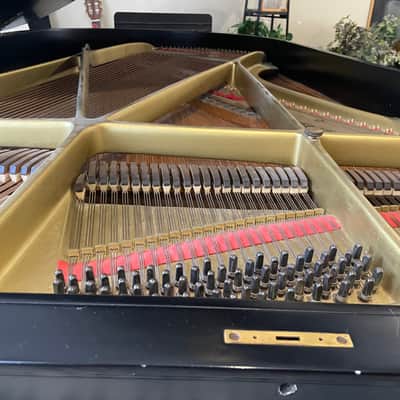 Chickering Grand piano 7foot image 3