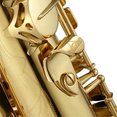Antigua TS4240LQ, Powerbell, Professional Tenor Saxophone, Ribbed Construction Laquer Gold image 2