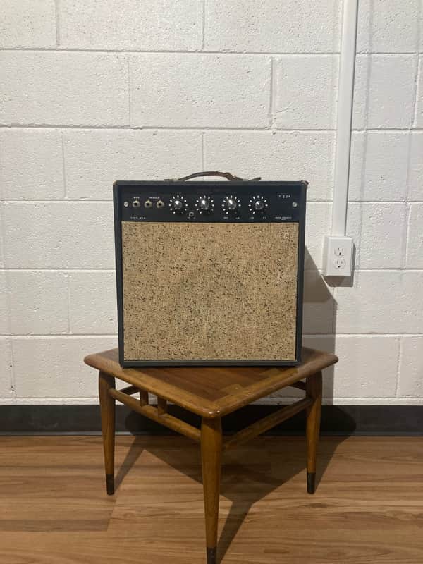 Sound projectstremolo model T204 1966 - Black image 1