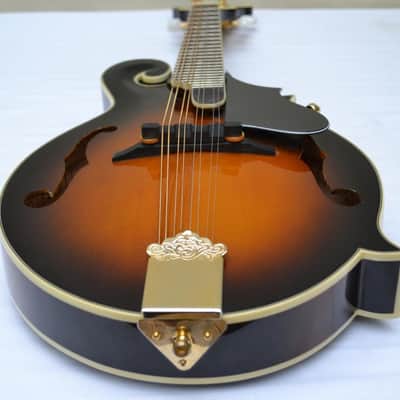 Orpheum OM6SW F-Style Mandolin-All Solid Top, Back & Sides- by Tacoma image 15