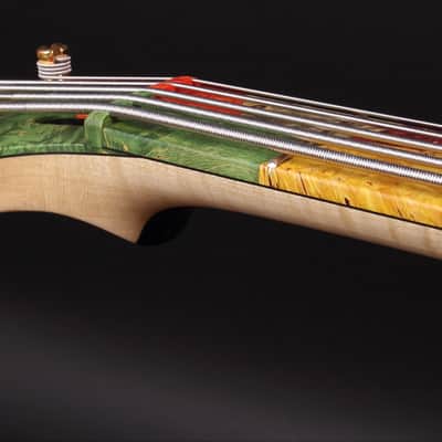 KD "Picasso" 5 string Electric Bass Unique Boutique Handmade image 5