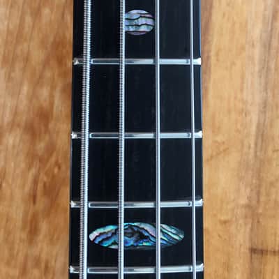 Alembic Brown Bass image 11