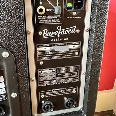 Barefaced RIG One10T Activier AND One10T Matched Pair Bass Cabs image 4