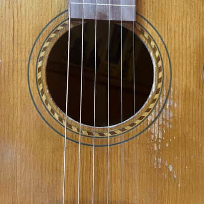 C. Knutsen "Convertable" Hawaiian Guitar c. 1914-1920 VIDEO!! image 7