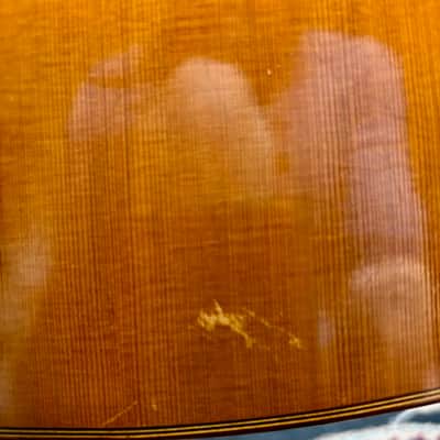 Douglas Ching Concert Classical Guitar SP/CSA 1988 image 17