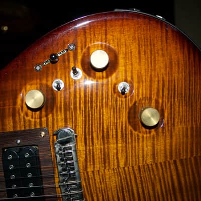 PRS P24 2012 Black Gold Wrap Around - Modified Jerry Garcia Tiger Electronics OBEL image 8
