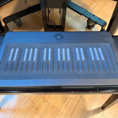 ROLI Seaboard Grand Studio (37) - One not is stucking on MIDI image 3